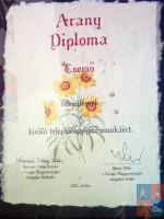 Arany diploma 2005
