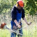 Regisztrált csemői munkanélküliek - FIGYELEM! Regisztrált csemői munkanélküliek - FIGYELEM!