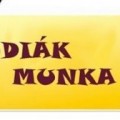 Nyári diákmunka - jelentkezési felhívás Nyári diákmunka - jelentkezési felhívás