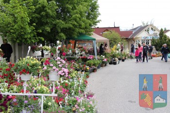 VIRÁGVÁSÁR-2018.05.01.