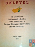 Az ezredforduló legvirágosabb települése díj 2000